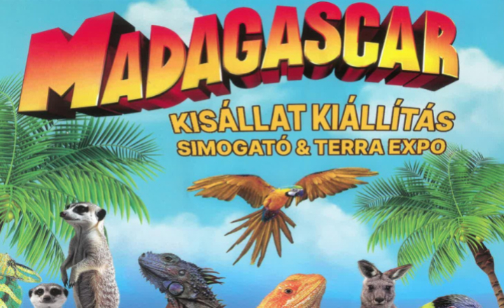 Madagascar kiállítás a Városi Műjégpályán május 9-én