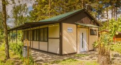 Róka